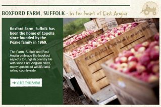 boxford farm suffolk copella apples in crates
